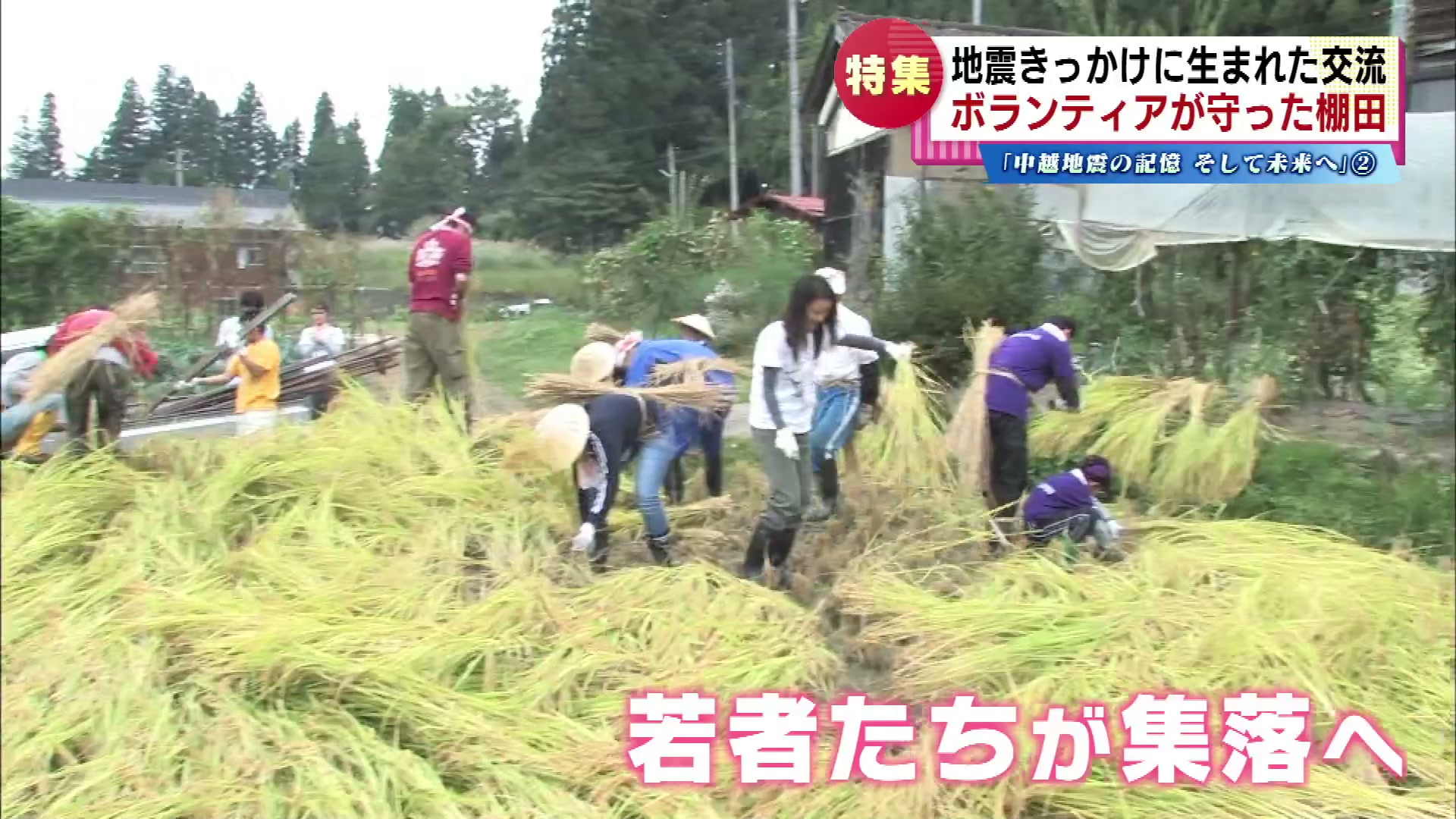 特集】中越地震で被災した池谷集落 ボランティアがつなぐ棚田 震災から