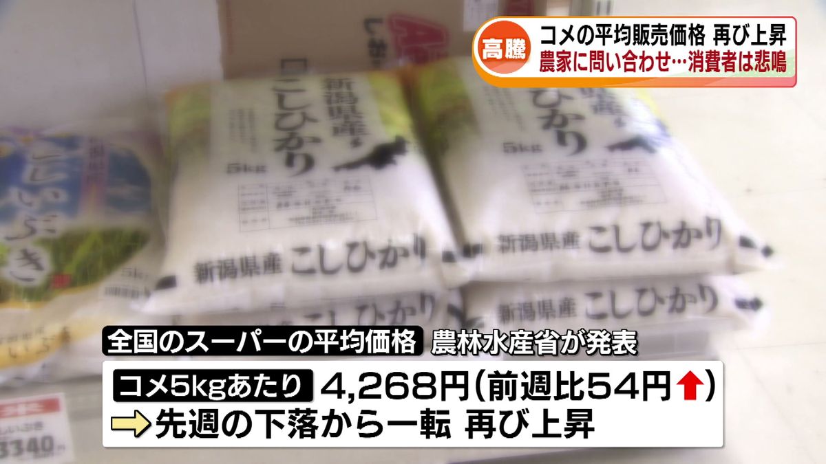 コメの平均販売価格が再び上昇　農家に問い合わせ殺到　消費者は家計への影響で悲鳴 《新潟》