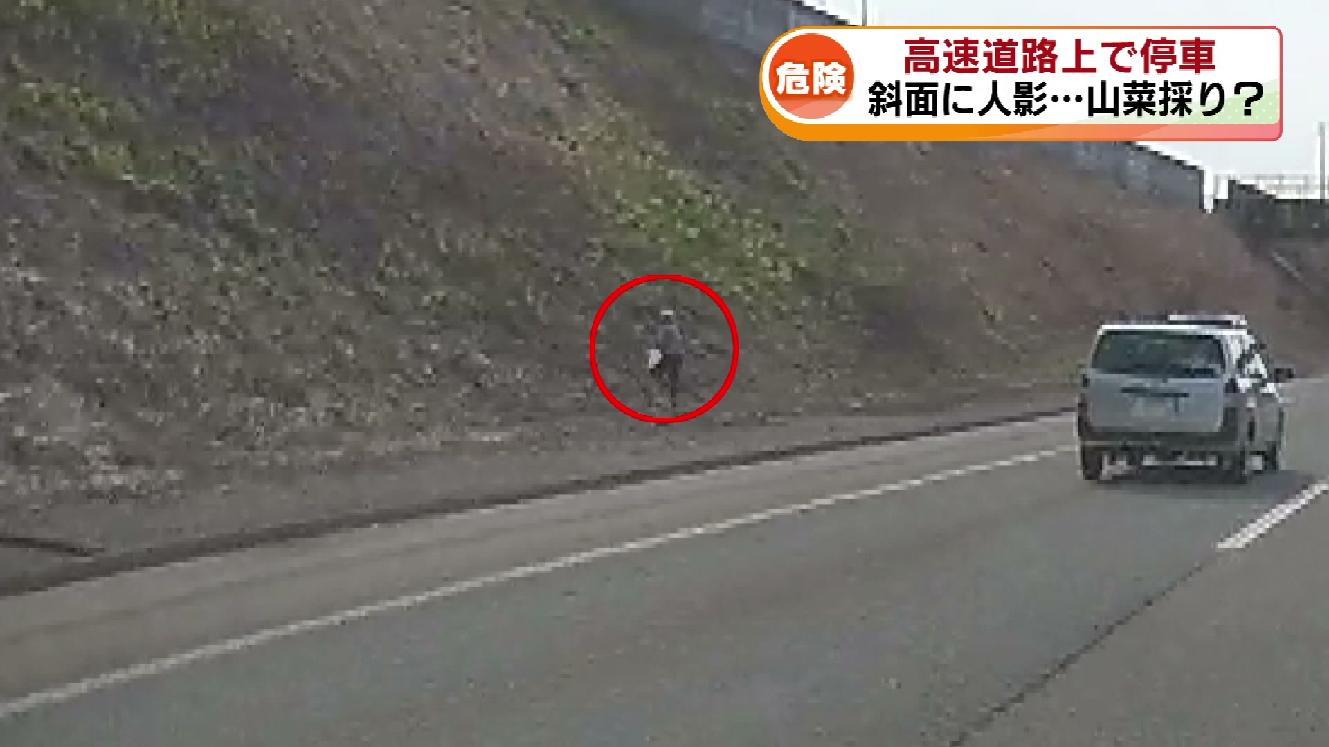 高速道路上に停車し斜面に立つ人影… いったい何を？ 関越道でTeNYの