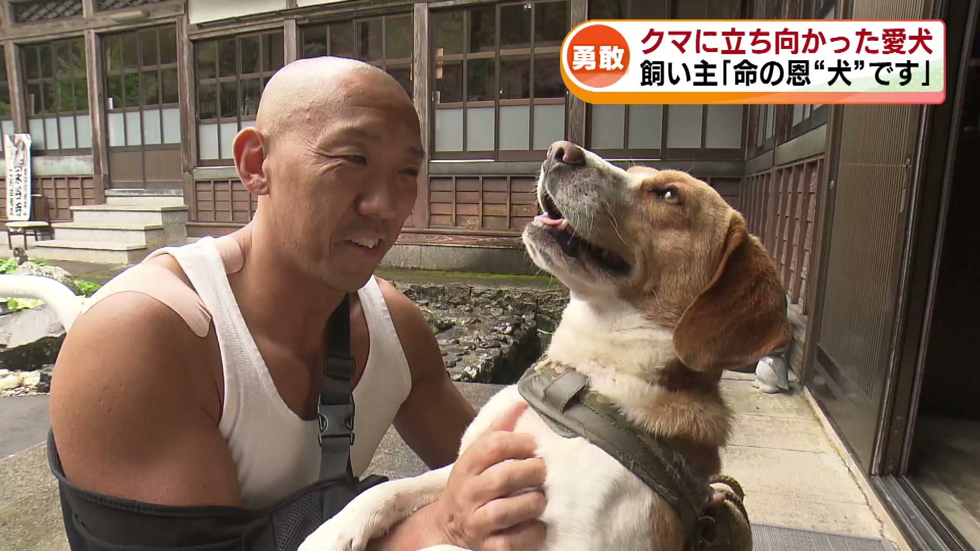 熊犬さん 注目された記事2025】クマ出没が相次いだ2025年 襲われた飼い主を救っ