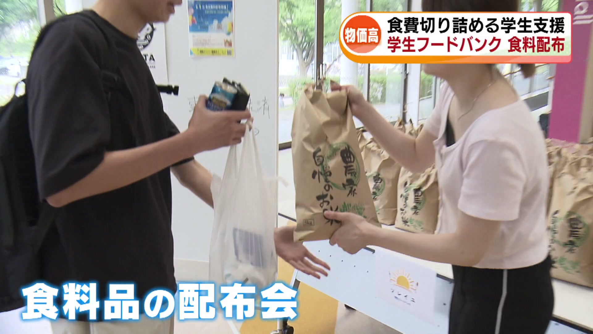 ※併売中※School Food Punishment - 12作品まとめ売り 新潟大学でフードバンク発足 食費切り詰める学生たち…“節約飯”でどう
