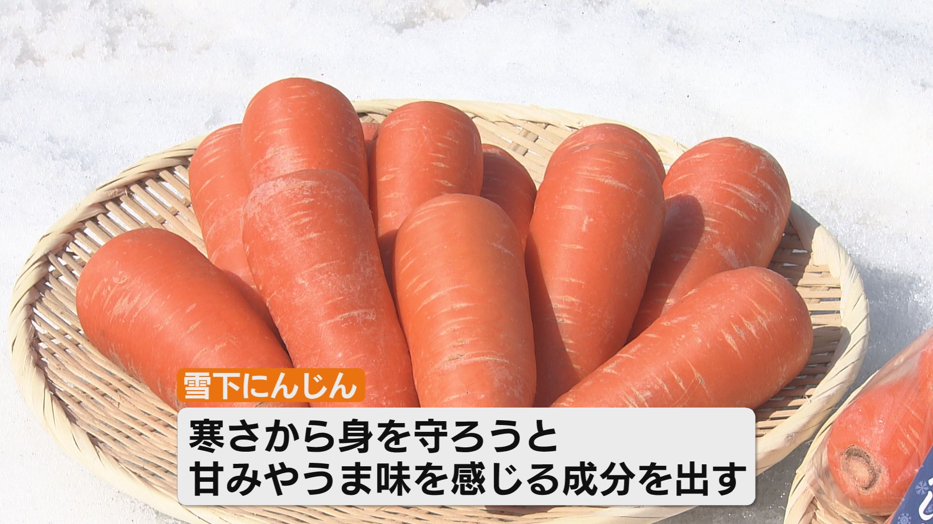 収穫】“雪下にんじん” 出荷最盛期 寒さに耐えて甘み凝縮《新潟》（2026