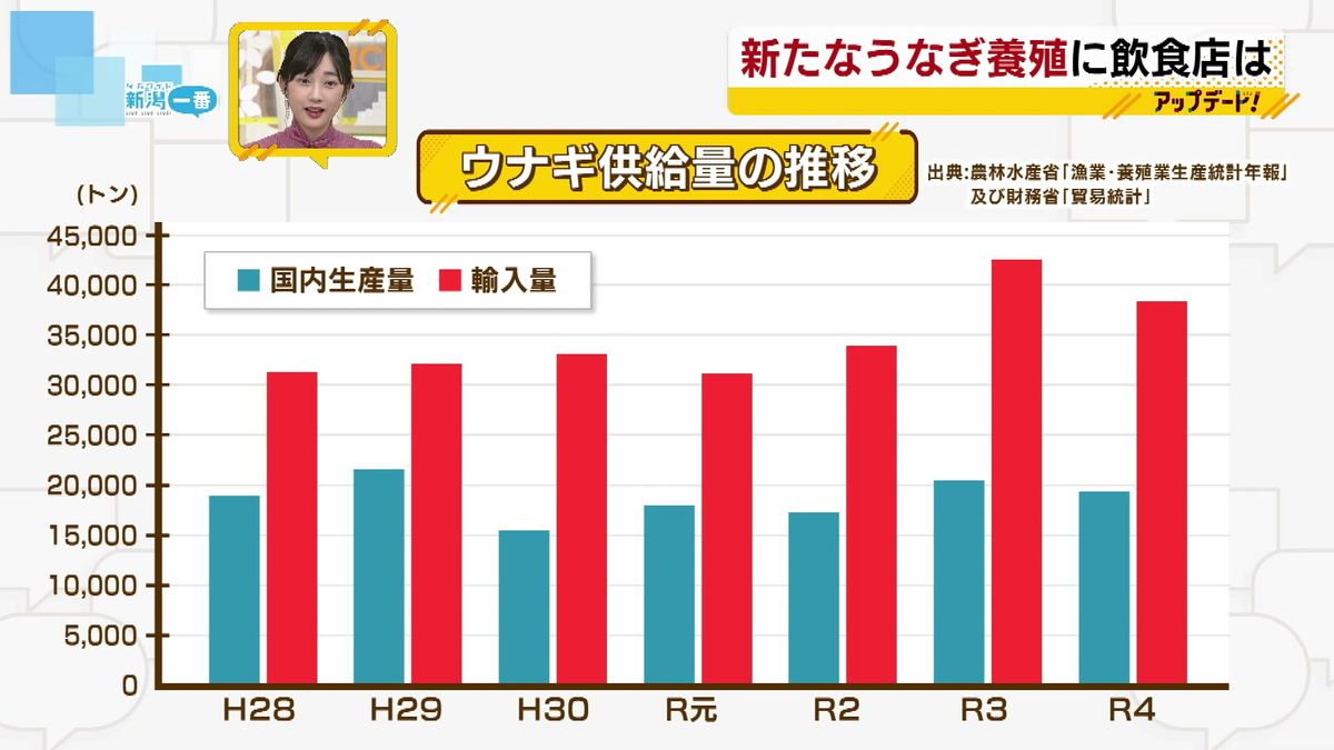 うなぎ供給量の推移