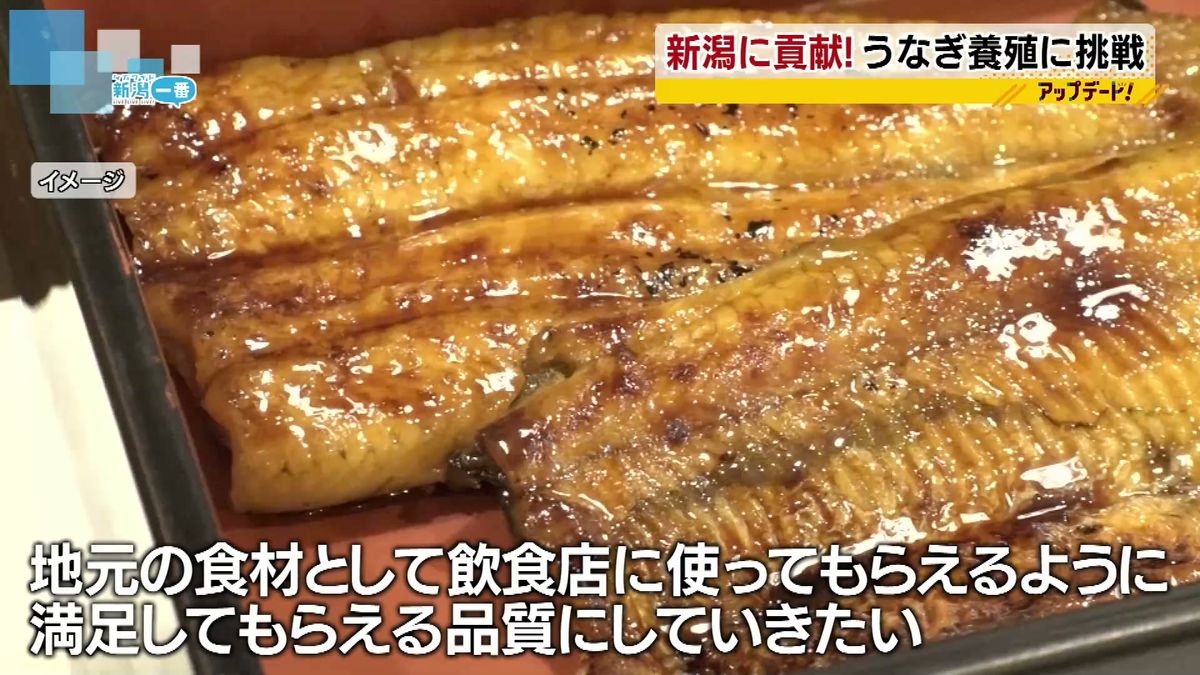 「うなぎ養殖」で新潟に貢献したい　新たな異業種に参入　はんこ会社の挑戦　《新潟》