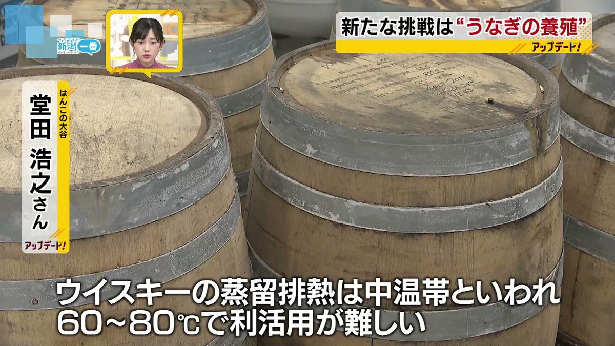 60-80度は利活用が難しい