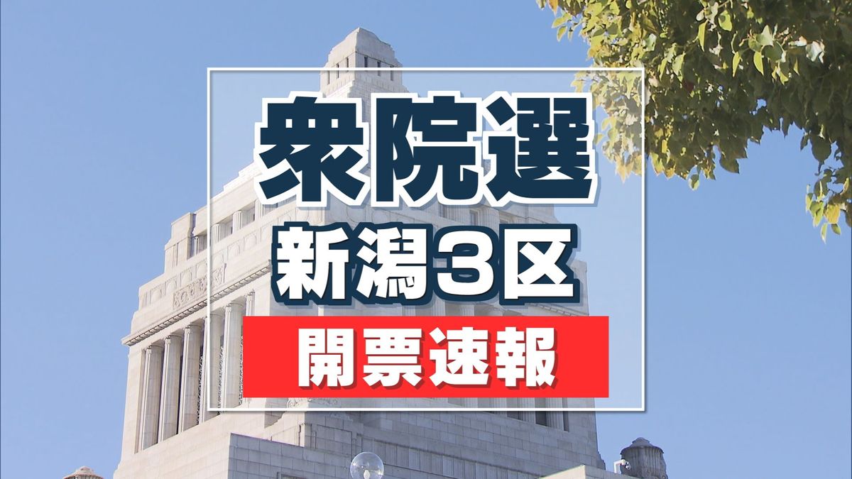 【衆院選】開票速報　新潟3区（27日午後10時40分）