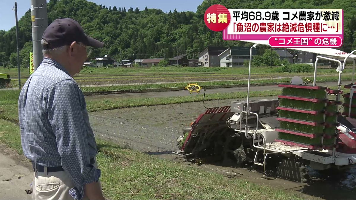 【特集】「魚沼のコメ農家が“絶滅危惧種”に…」平均年齢６８．９歳　高齢化と中山間地域の課題　‟コメ王国”の危機《新潟》