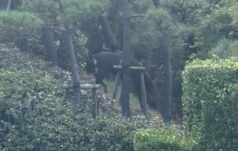 斎場の中へ