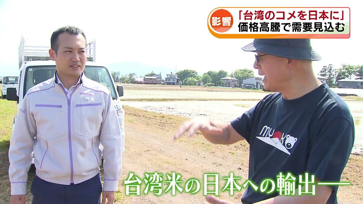 「台湾のコメを日本に」　日本国内の価格高騰で需要見込む　海外バイヤーが上越市の田んぼを視察 《新潟》