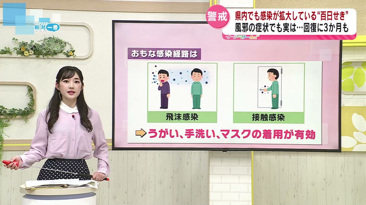 【特集】激しいせきが続く「百日せき」 県内で過去最多に 予防方法は《新潟》