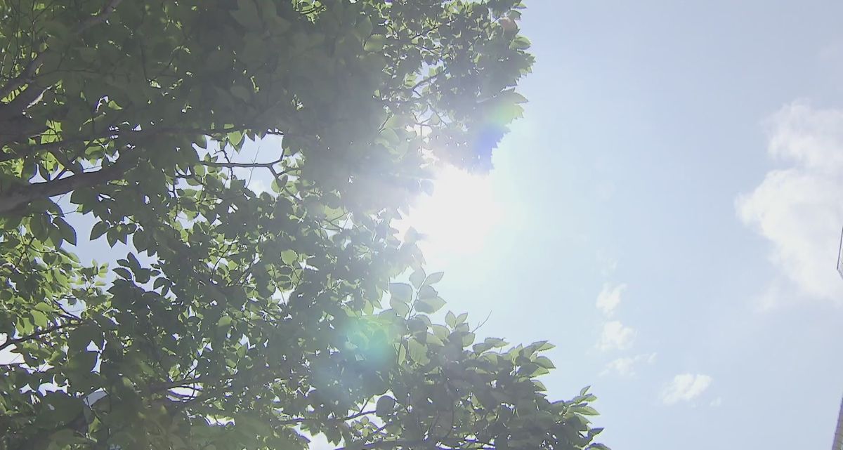 新潟県に「熱中症警戒アラート」　長岡・津川で日中３５℃予想　危険な暑さに注意　《新潟》　