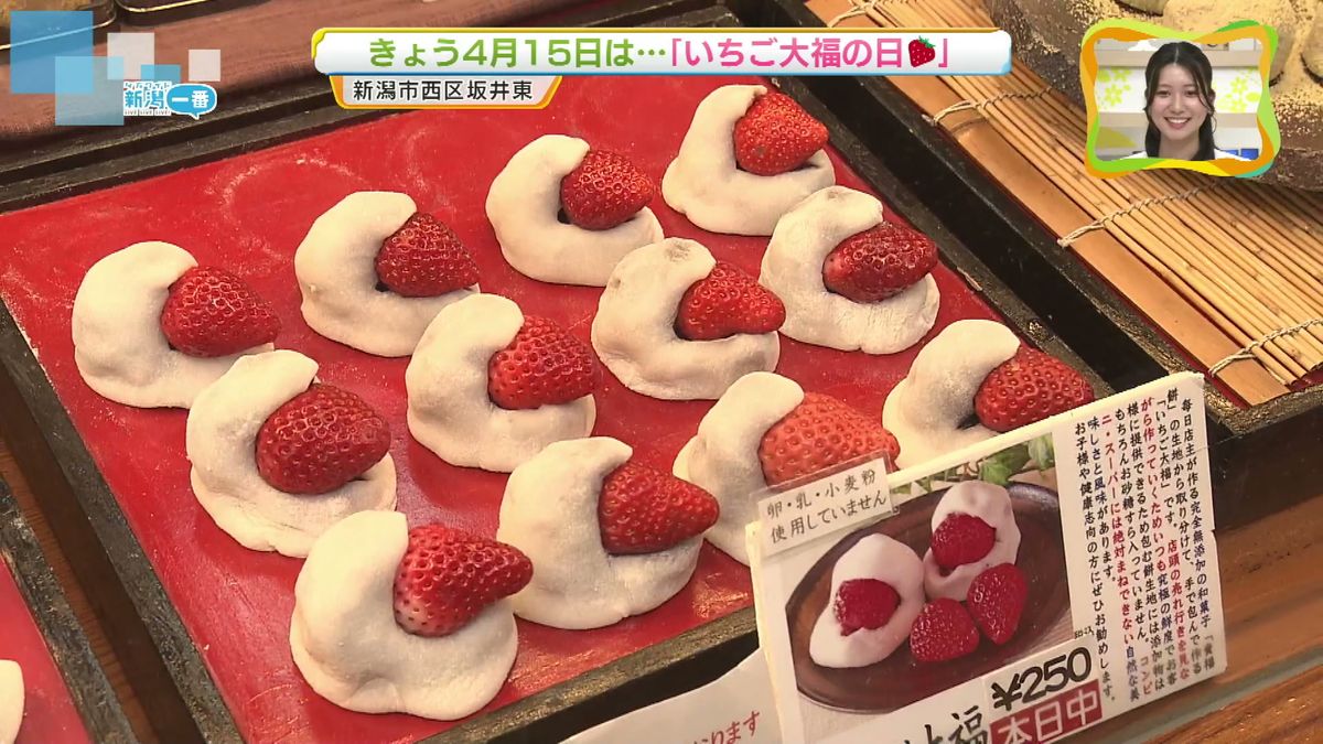 4月15日「いちご大福の日」 新潟市西区の和菓子店では、こだわりの大福が店頭に並ぶ《新潟》