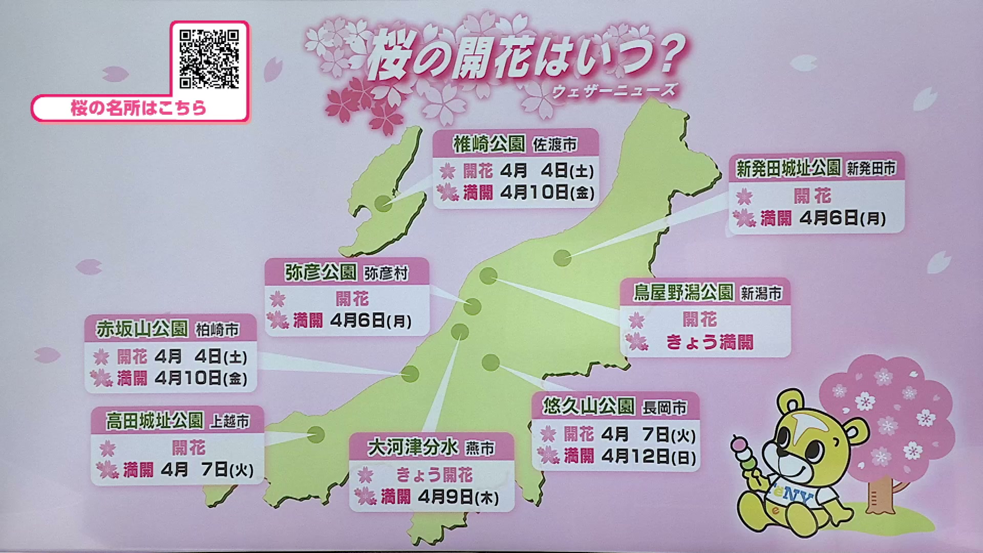 サクラ】開花や満開の予想 お花見はいつ行く？県内の開花状況やお天気