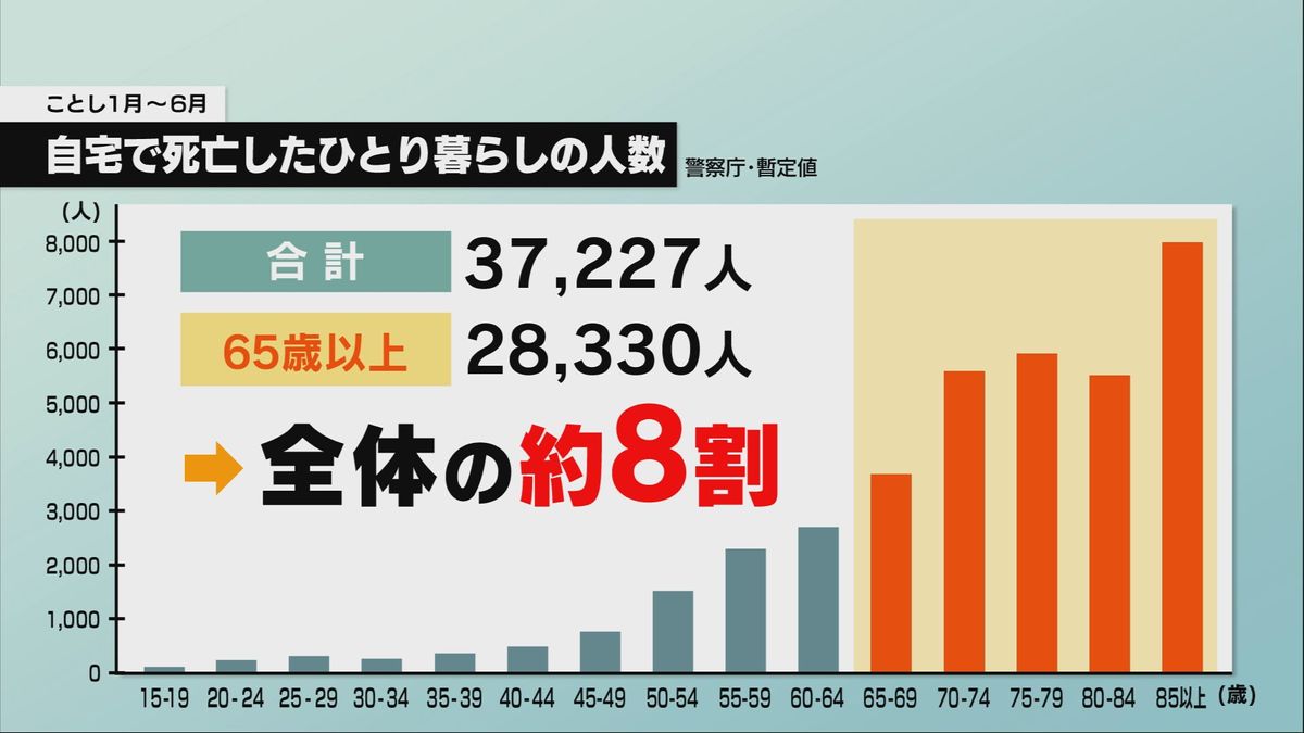 データ（2024年警察庁発表）