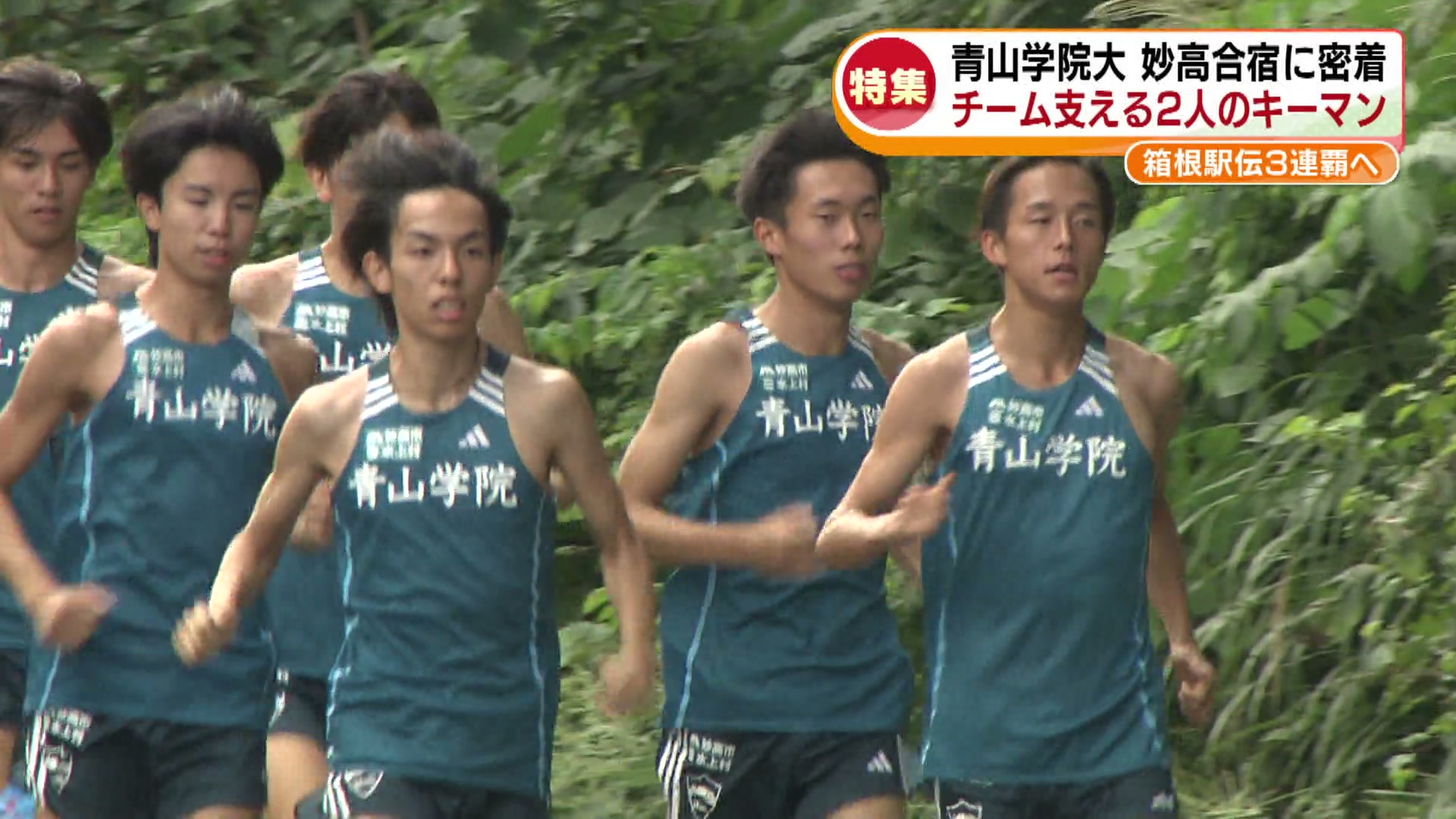 スポーツ特集】「箱根駅伝」3連覇ねらう青山学院大学 新潟・妙高合宿に