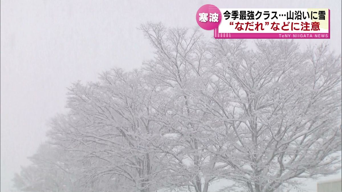 【寒波】今シーズン最強クラス　山沿いで雪…なだれなどに注意《新潟》