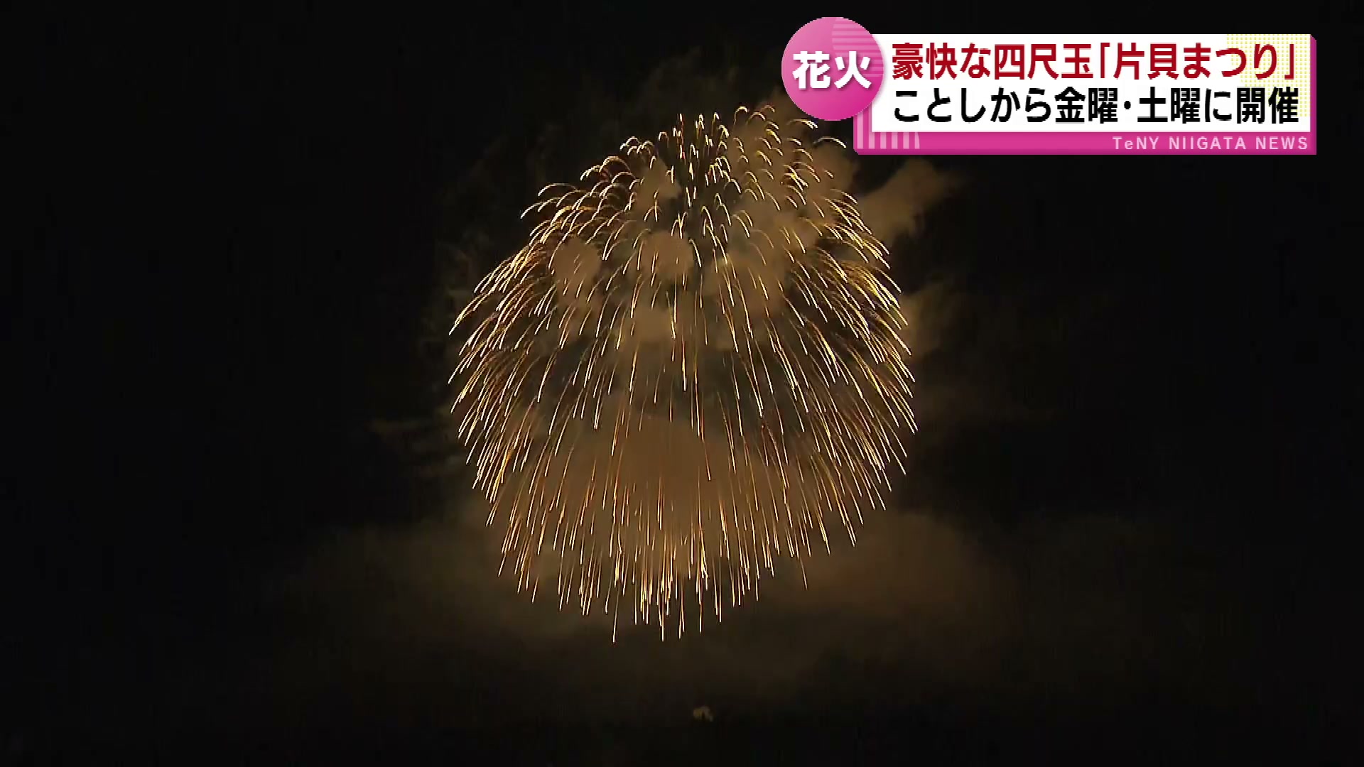 花火】今年から金曜・土曜に開催 “世界最大級の四尺玉” 「片貝花火
