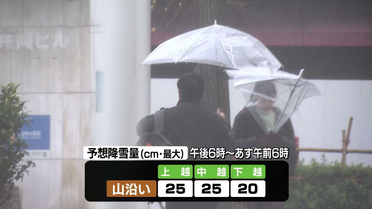 【警戒】7日にかけて最大80ミリの雨　上・中越の山沿いでは最大25センチの降雪予想も　県内では土砂災害や突風に警戒を　《新潟》