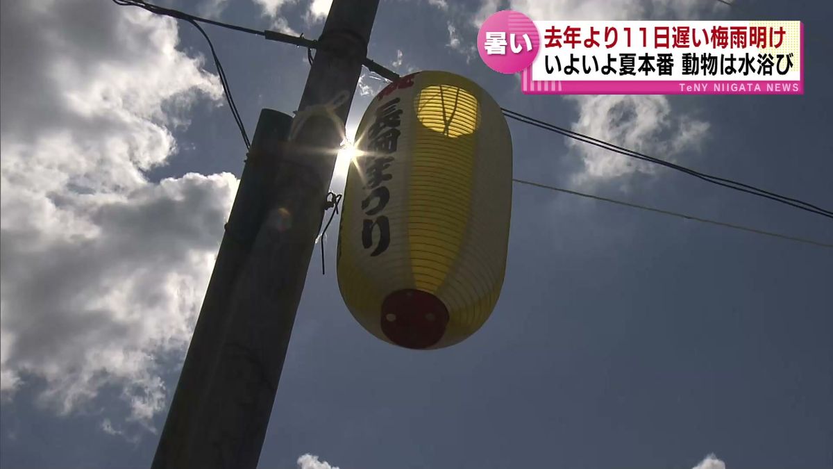 いよいよ夏本番　新潟県を含む北陸地方が梅雨明け　各地で真夏の暑さ