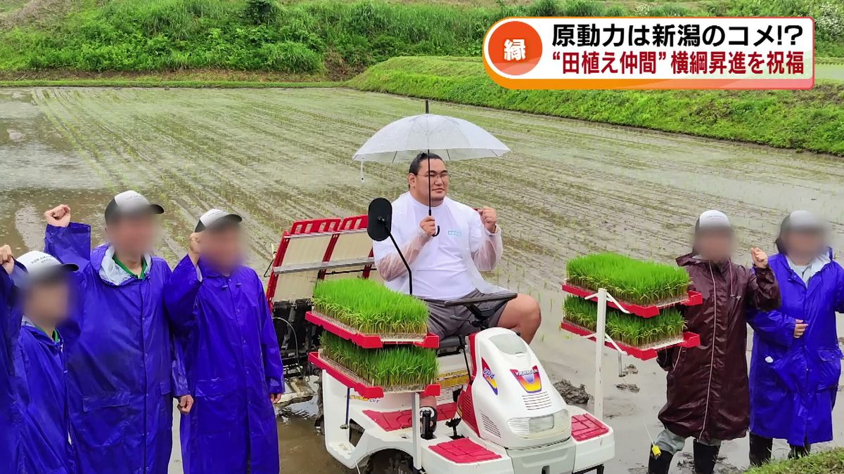 横綱昇進の豊昇龍 原動力は新潟のコメ !? “田植え仲間”を県内からも祝福 《新潟》