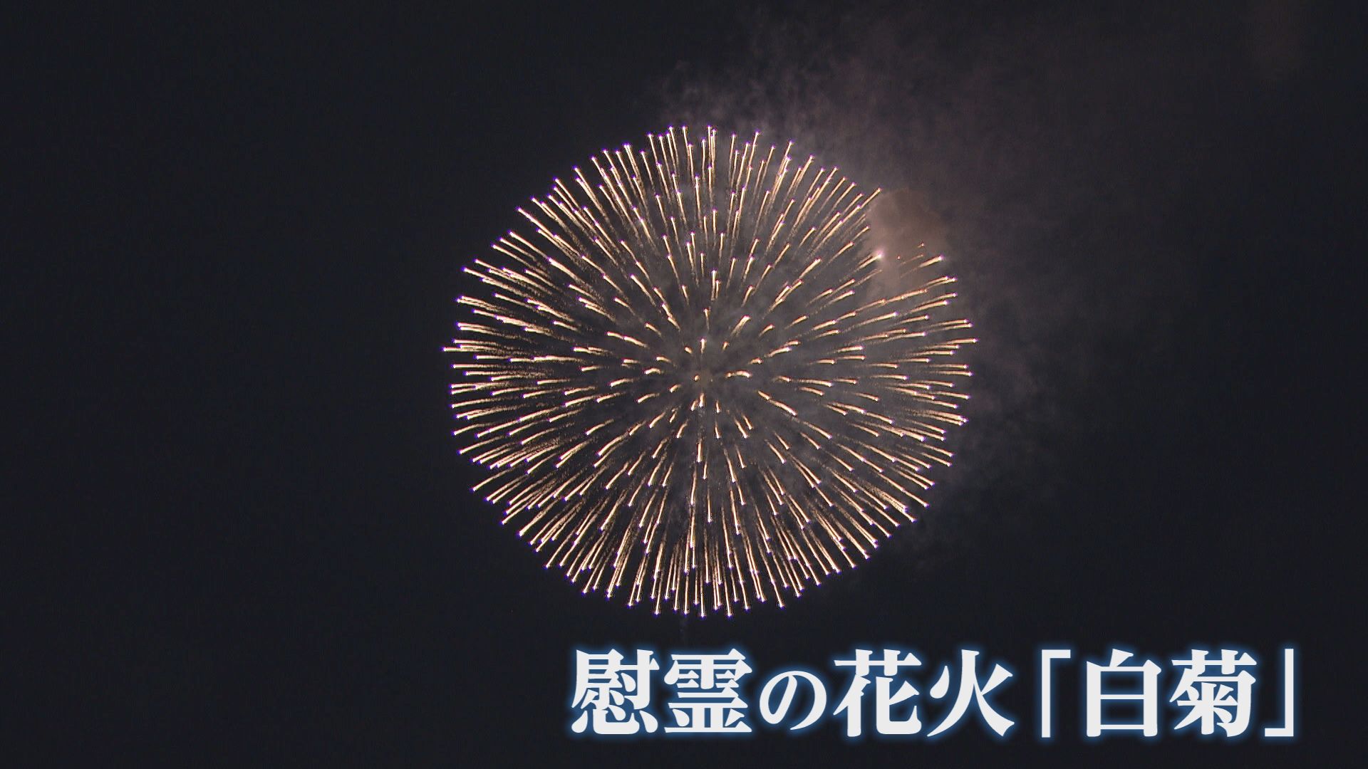 $様確約　10/2(火)24時まで 慰霊の花火】「白菊」空襲の記憶を次世代へ 長岡空襲から81年鎮魂の