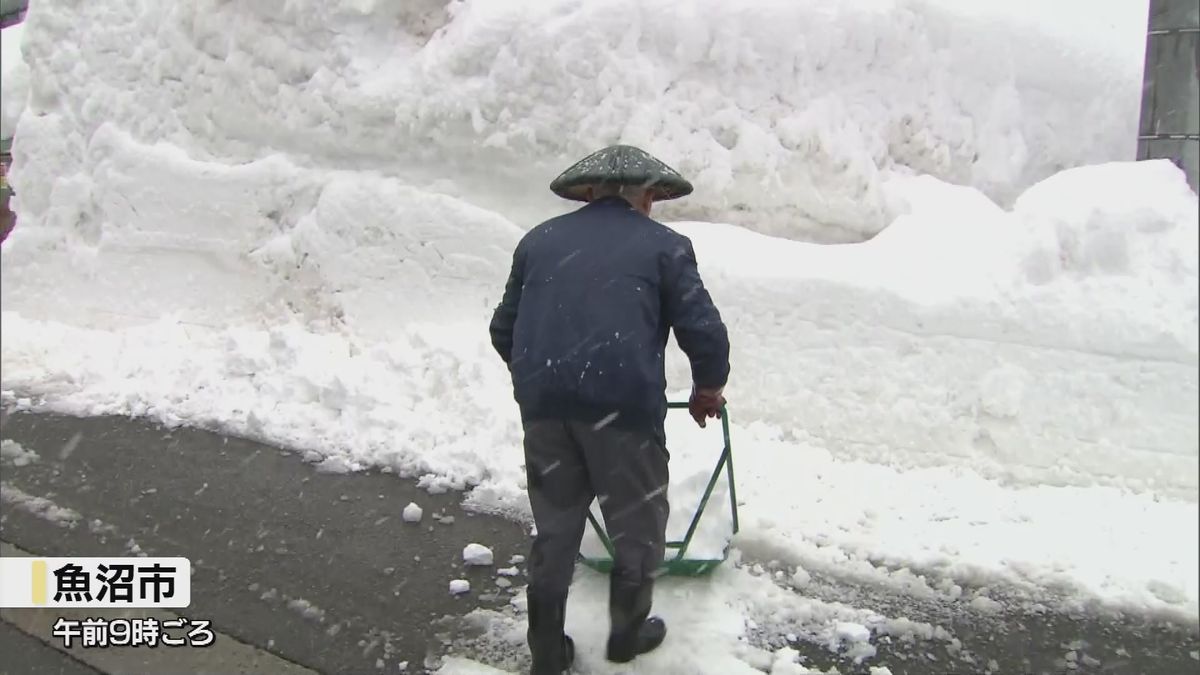 “最長寒波” 週末に再び大雪か　中越の山沿いを中心に大雪となる見込み 《新潟》