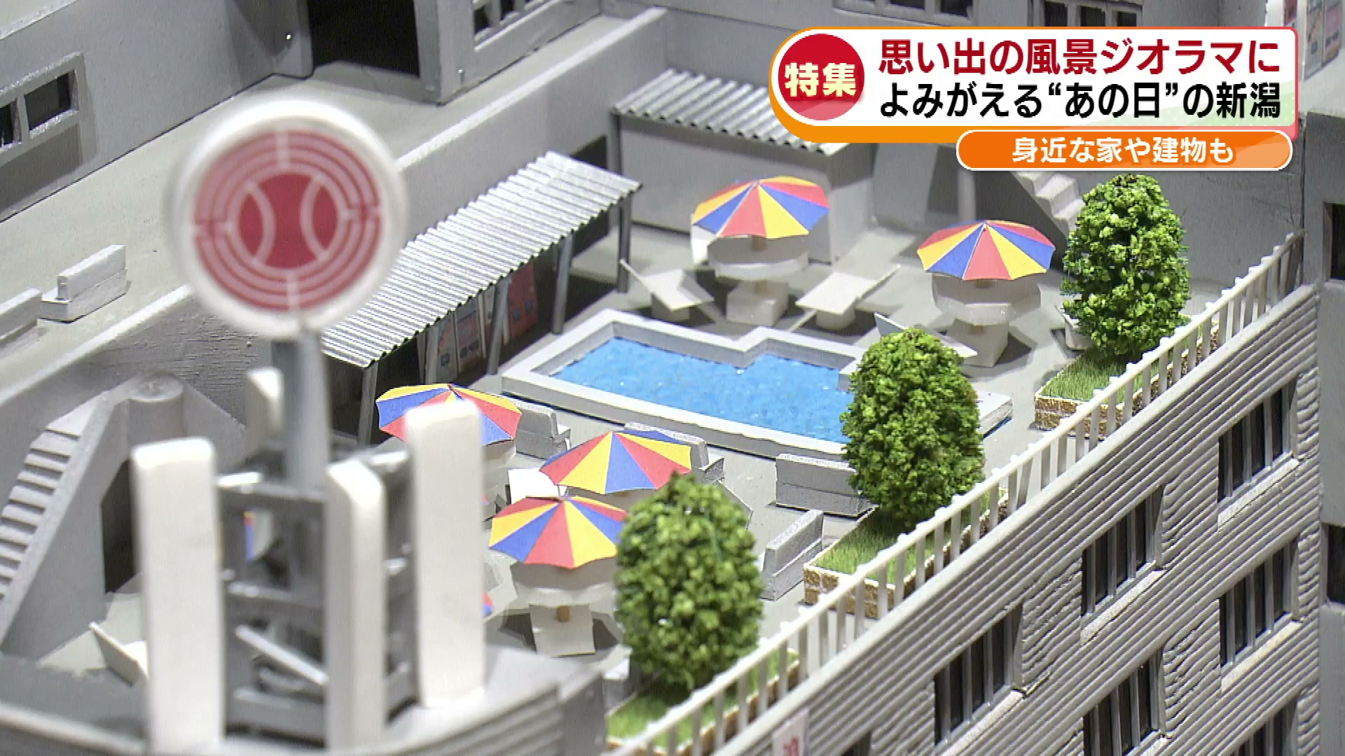 【特集】思い出の風景をジオラマに　よみがえる“あの日の新潟”街並みを模型で作りづける女性