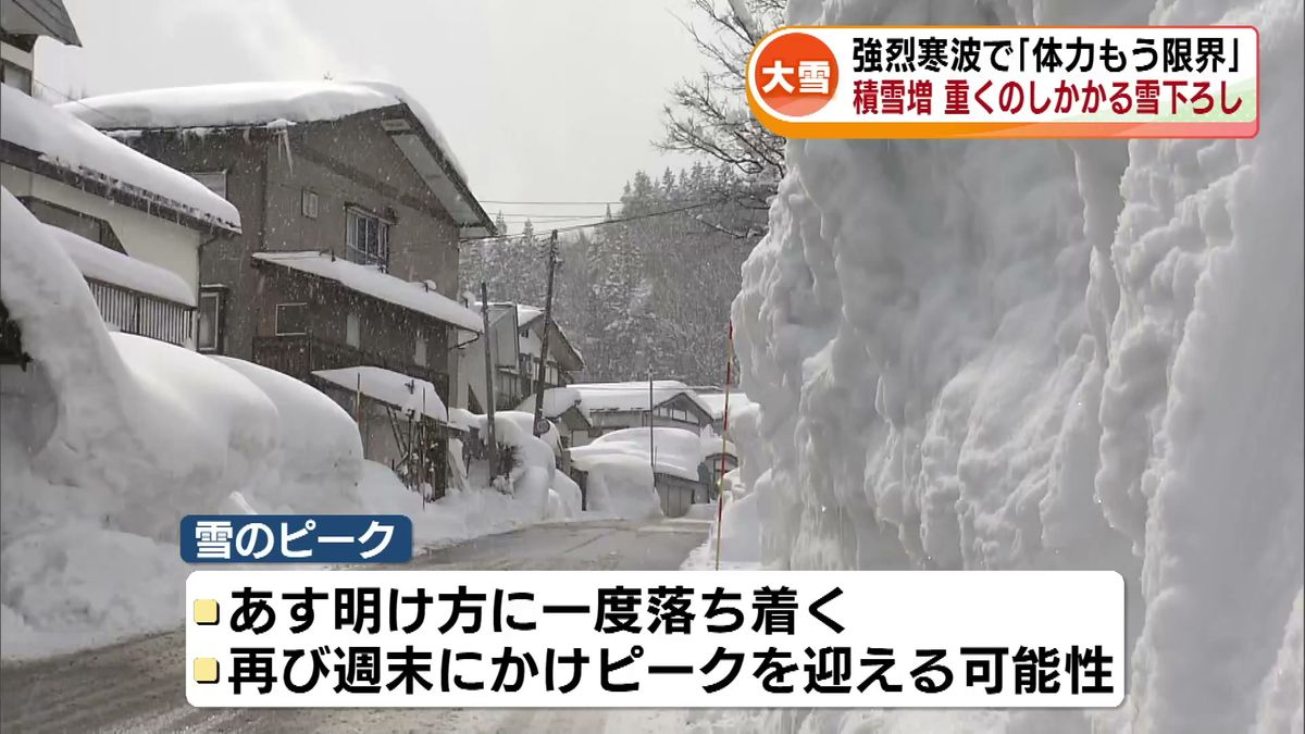 強烈寒波で「体力もう限界」　積雪増で重くのしかかる雪下ろし　再び週末にかけて雪のピークか 《新潟》