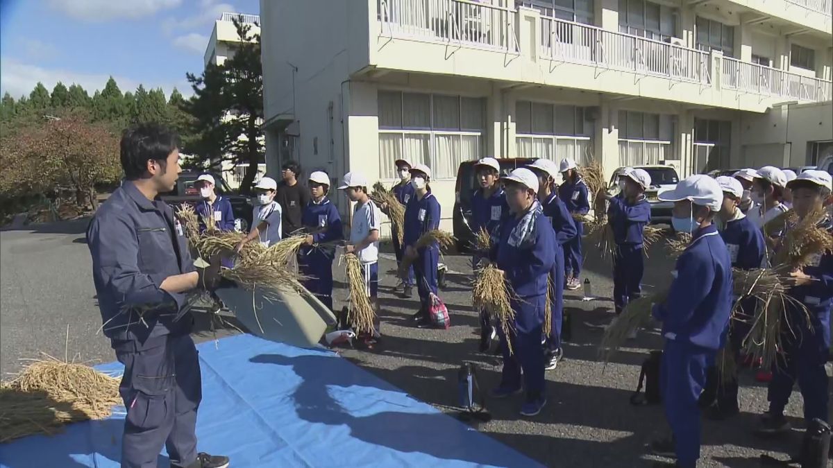 学校田でコメ作りを学ぶ児童が挑戦　昔ながらの道具で「脱穀」と「精米」《新潟》