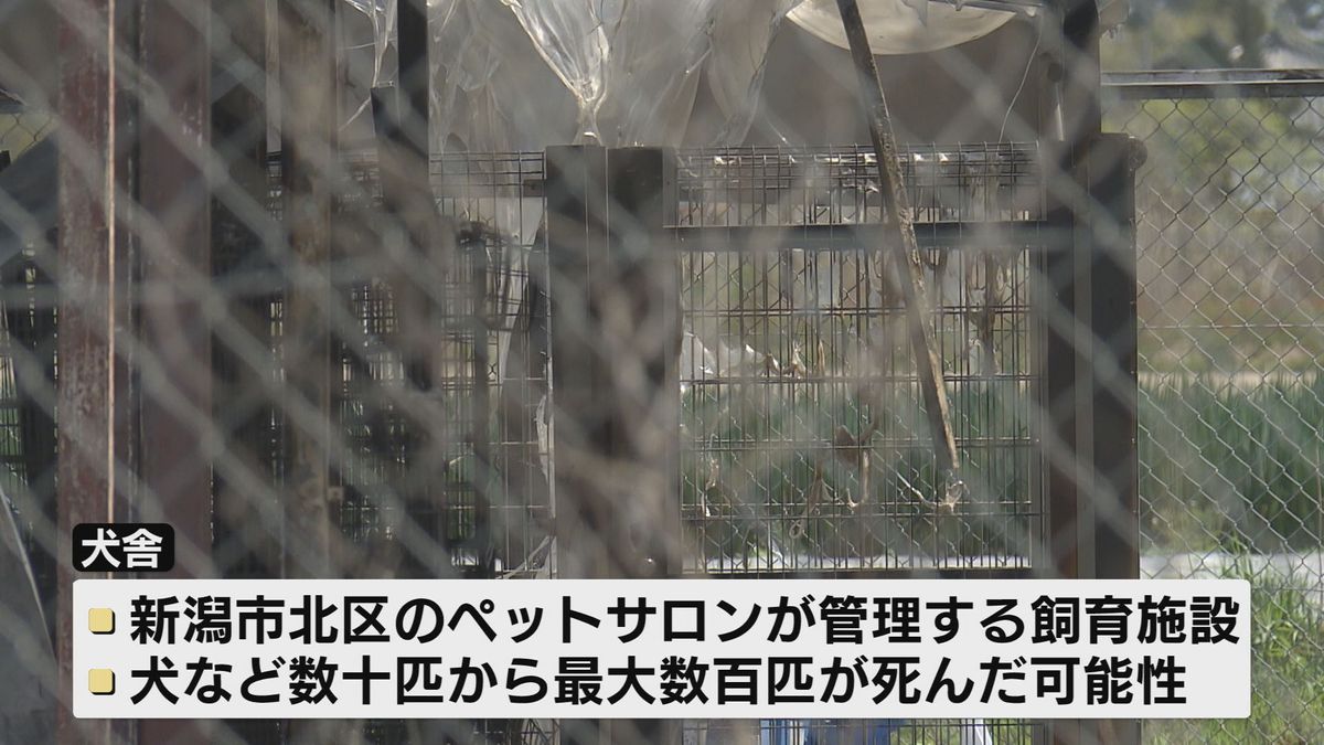 犬舎で火事　犬など最大数百匹が死んだか《新潟》