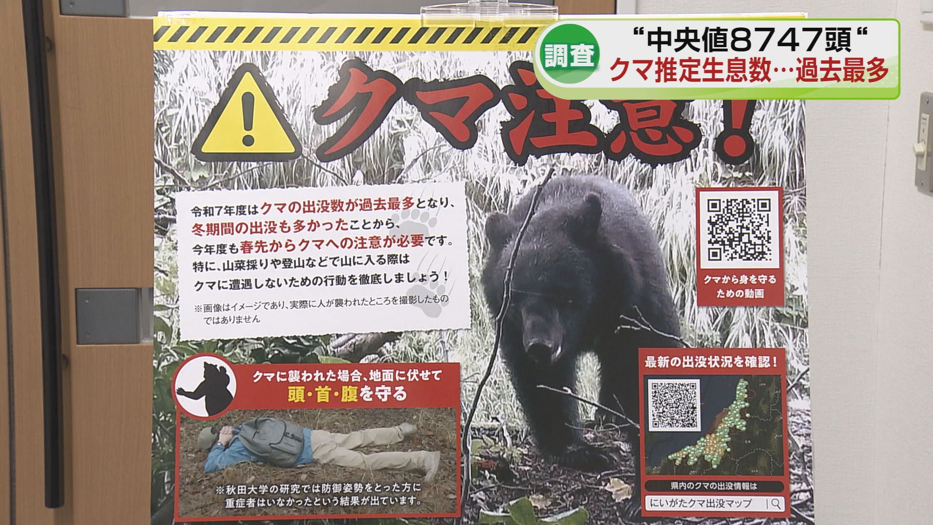 県内のクマ生息数は過去最多の8000頭超えか 「街の中心部への出没の