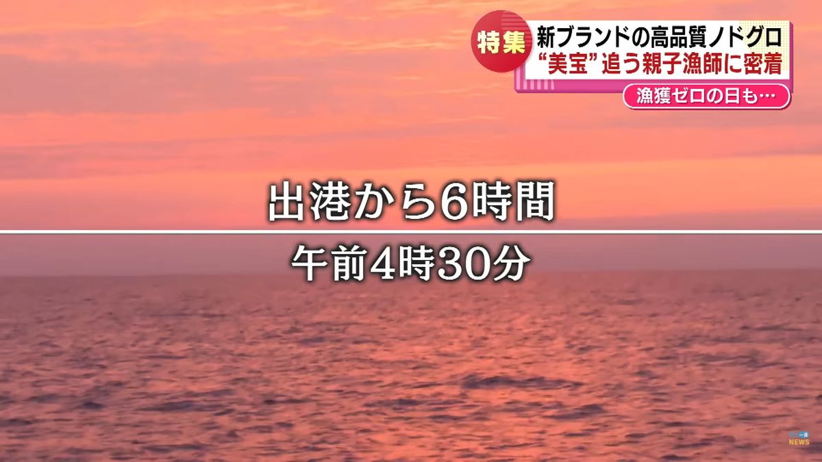 午前4時30分 水揚げ開始