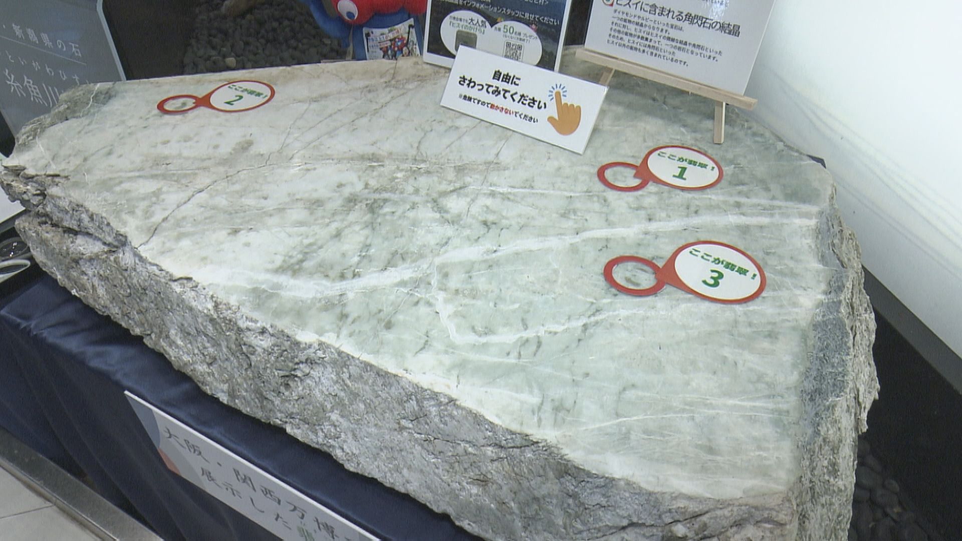 人造石　メタヒスイ（原石） 大阪・関西万博で展示された県の石「ヒスイ」を公開 （2025年12月11日