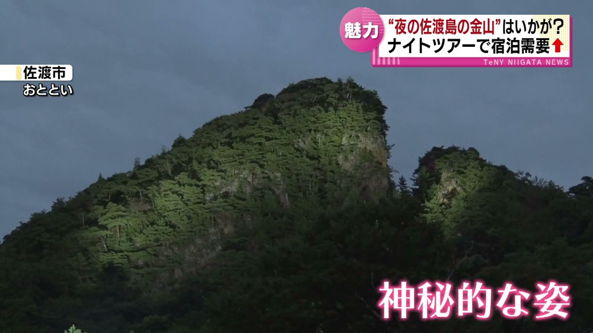 普段は非公開のところも案内「 佐渡島の金山」でナイトツアー　“夜の世界遺産”楽しんで　宿泊やインバウンド需要の増加へ 《新潟》