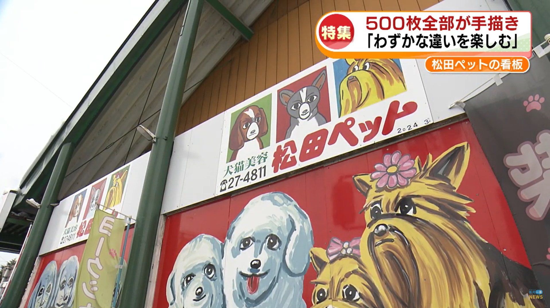 特集】全国にファンを持つ長岡の名物 “松田ペットの看板” 500枚すべて