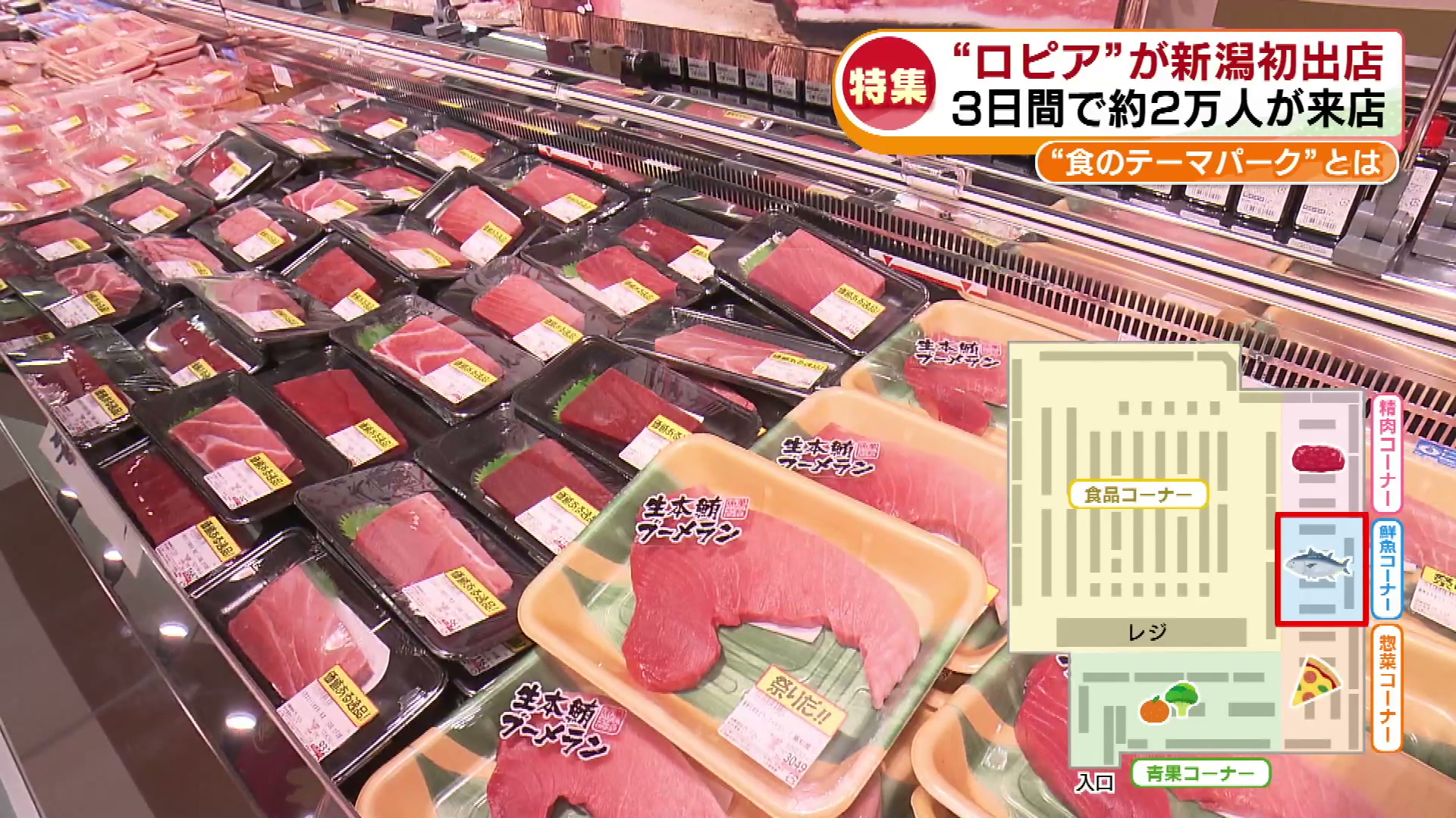 2ページ目 【新潟初出店】ロピアが新潟に上陸 周辺で進む“鳥屋野潟南部