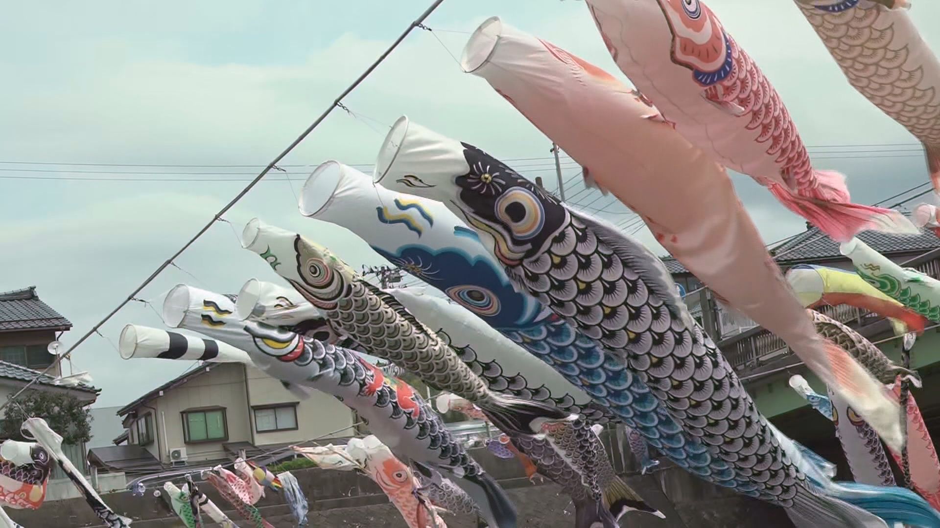 こどもの日」健やかな成長を願い 加茂川で500匹の“鯉のぼり” 県内の