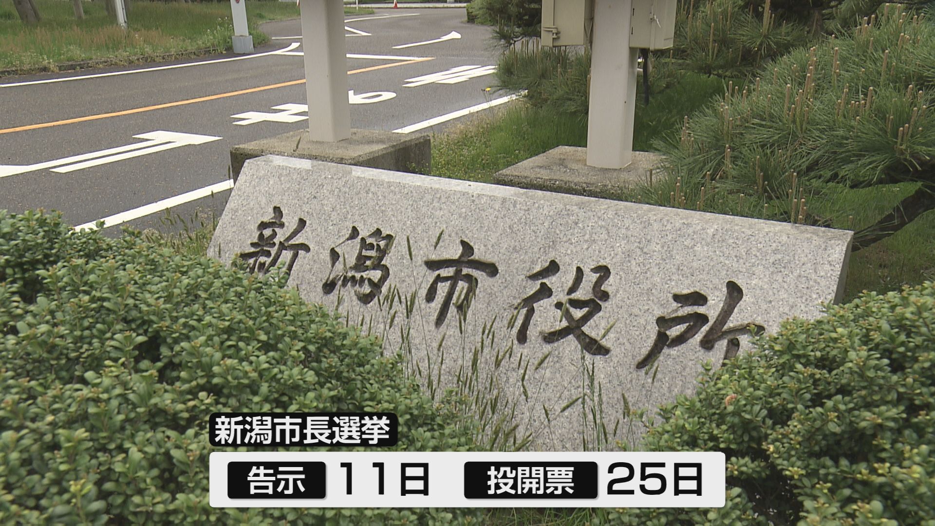 特集】10月11日告示 新潟市長選挙 争点・主張は 現職と2人の新人が出馬