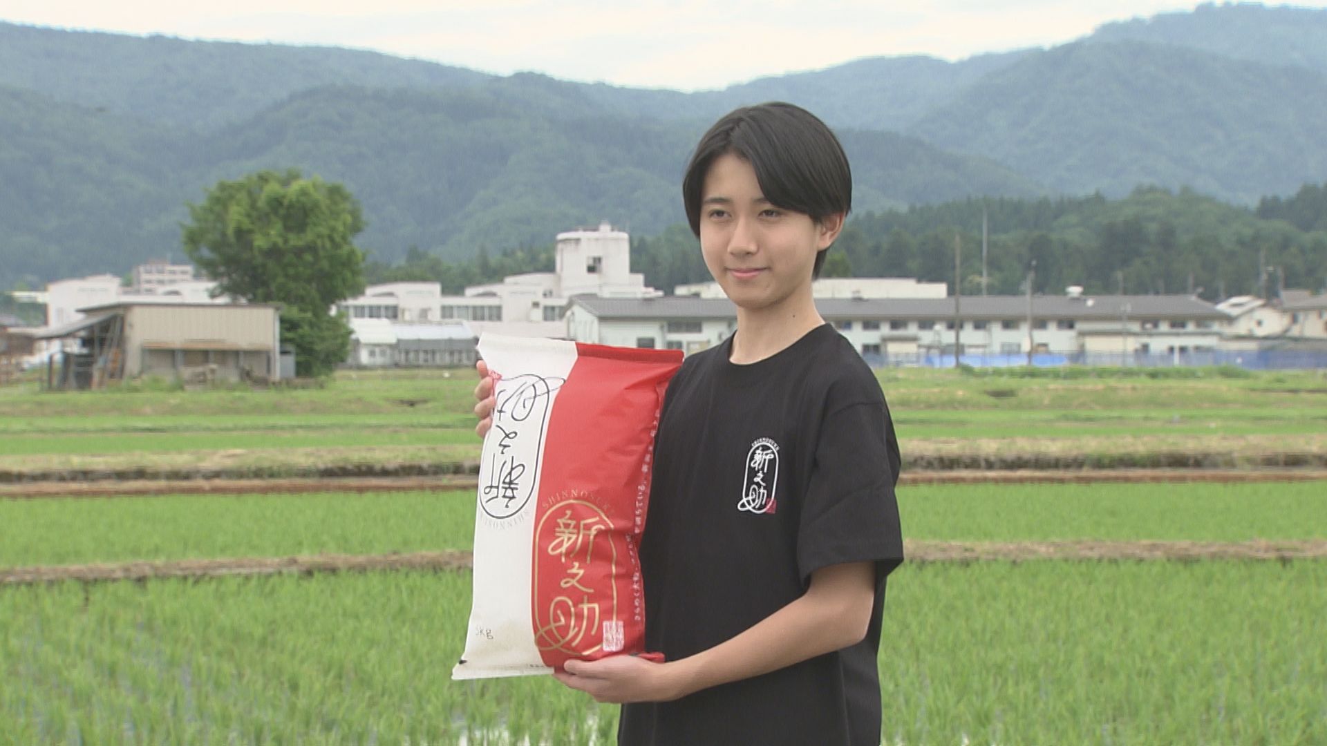 新之助さん 市川新之助さんが新潟米「新之助」のPR撮影に登場 販売開始から10周年
