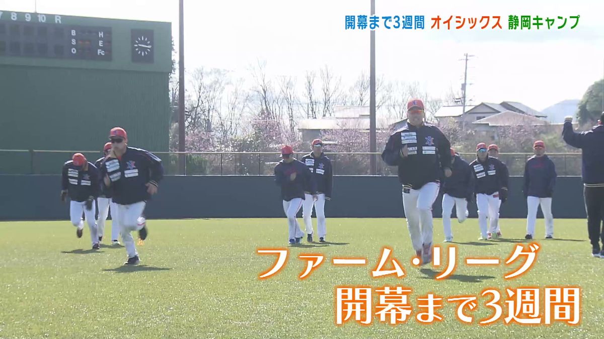 【プロ野球】オイシックス　ファーム・リーグ開幕まで3週間　静岡でキャンプ　仕上がりは