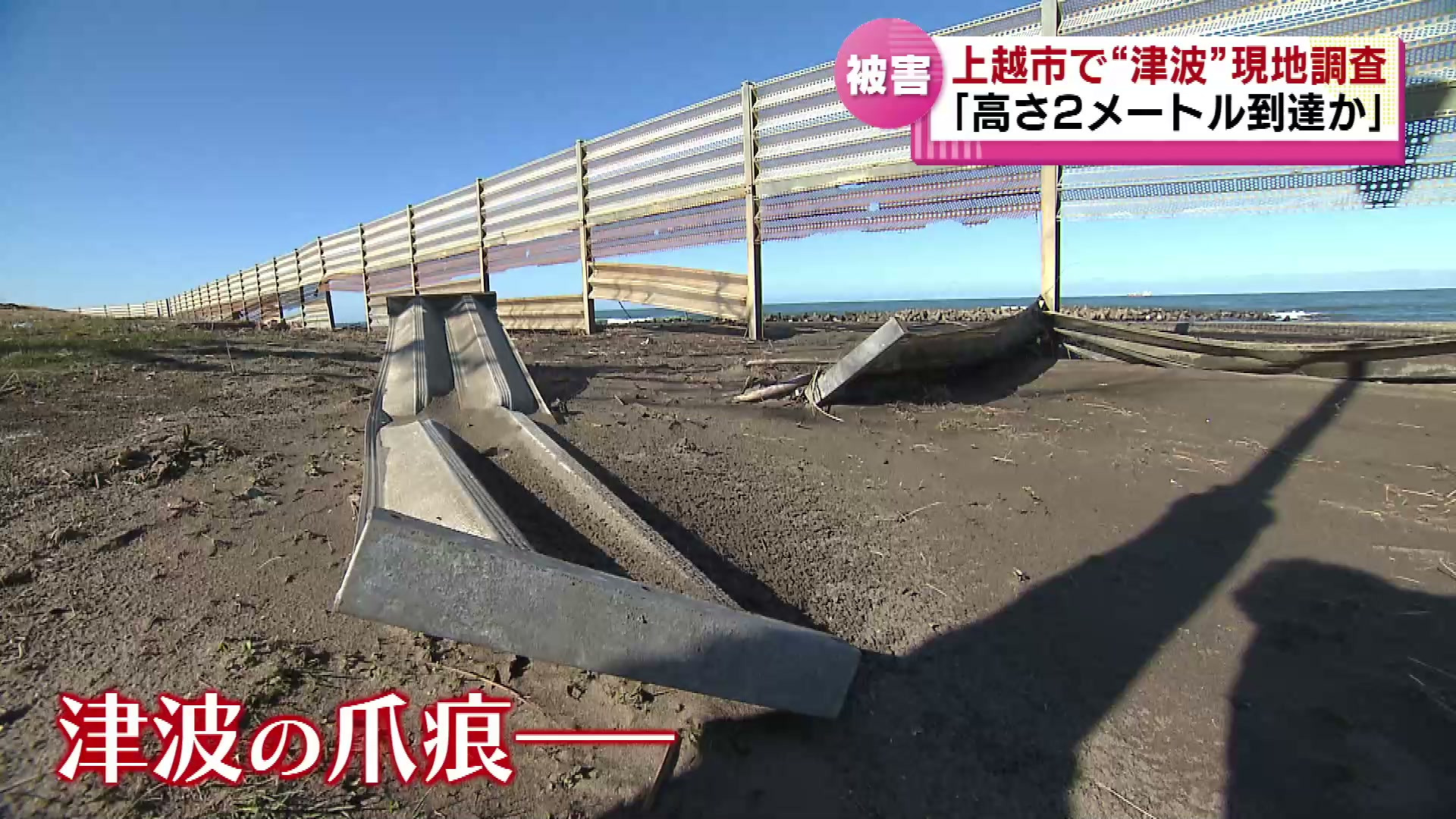 能登半島地震】津波第一波は約8分で新潟県到達か 爪痕を専門家が現地