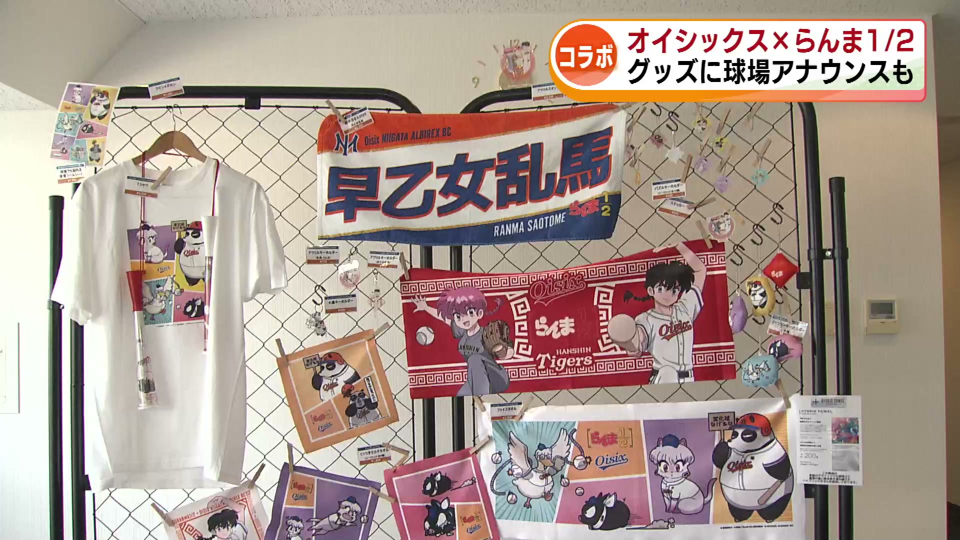 プロ野球】オイシックスが人気アニメ『らんま1/2』とコラボ グッズに
