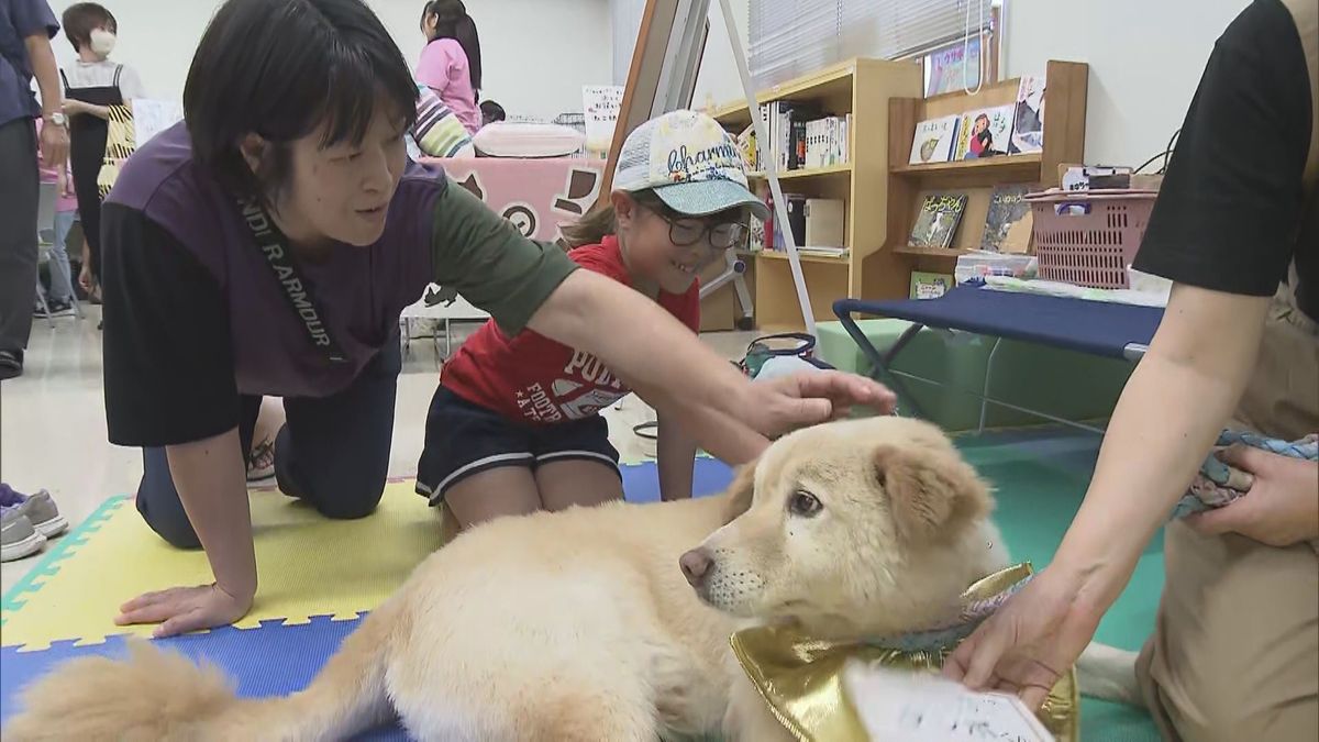 「犬の心拍数ってこんなに速い」保護猫や犬と触れ合う　親子ふれあい動物フェスタ開催　大分