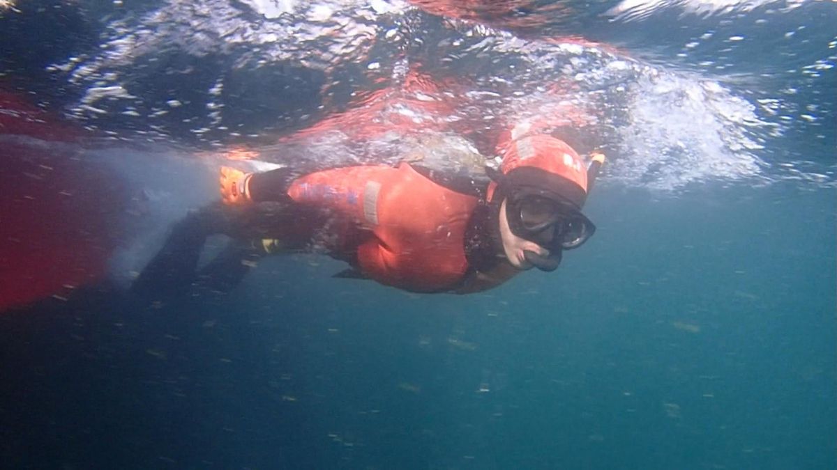 海の治安を守る海上保安部　“命を守る”最前線「潜水士」の過酷な訓練に密着