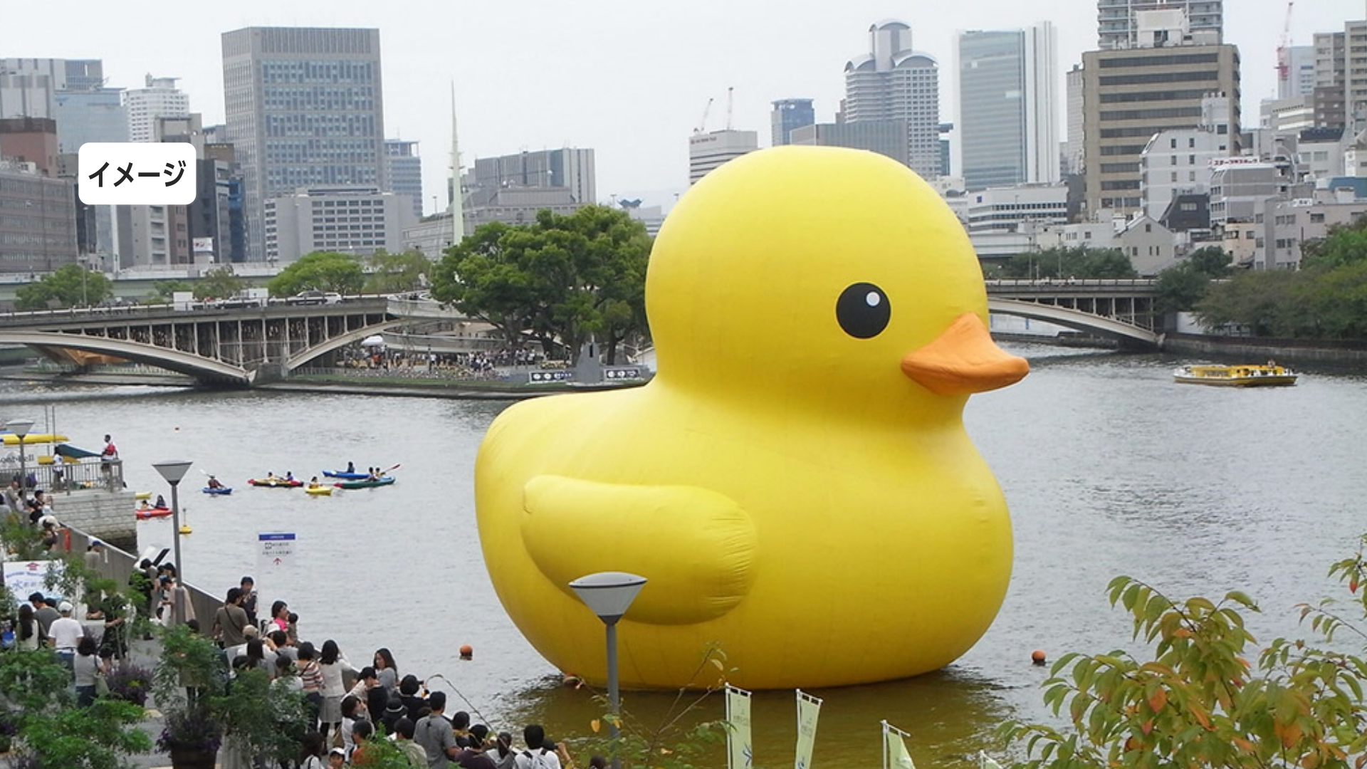 巨大アヒルを九州初展示 10月「国東半島芸術文化祭」開催 9つのアート