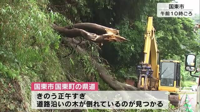 15日夜遅くにかけ土砂災害に警戒を　国東町では雨の影響で倒木　電柱が折れる　大分