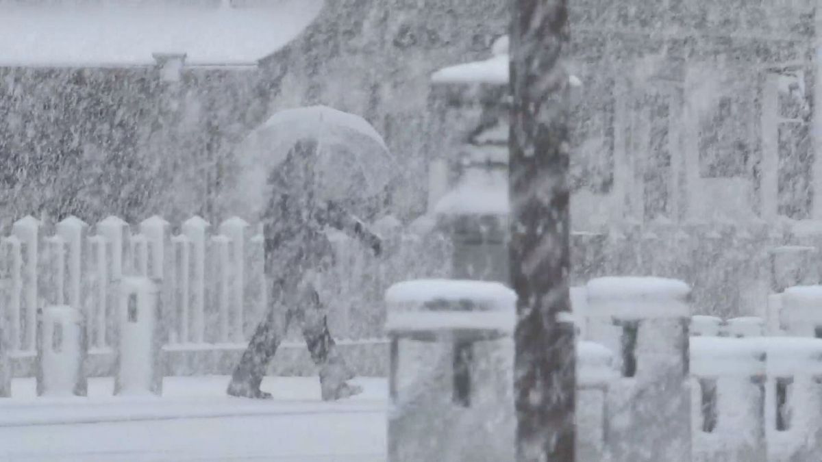 一面真っ白「警報級」の大雪に警戒を　大分県内96校が休校　東九州道の中津IC～北九州方面は通行止め