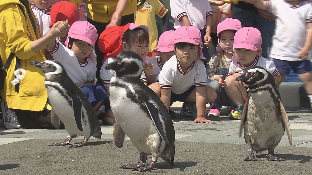 うみたまご「あそびーち」リニューアル　敷地面積1.6倍に　ペンギンのプールに園児もおおはしゃぎ　大分
