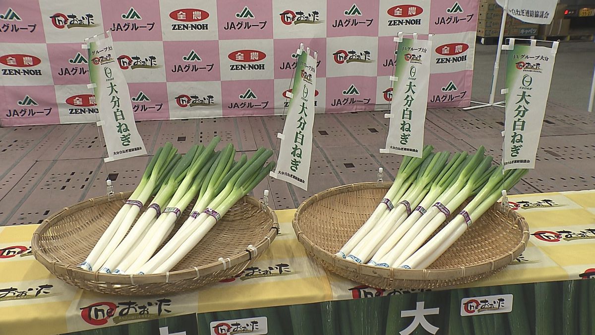 県産ブランド「大分白ねぎ」旬入り宣言　猛暑の影響で生産量は減少も、甘い味わいに仕上がる　