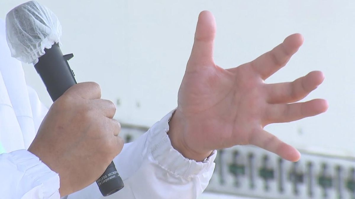 ミニ統一地方選 大分県内5市長選と3市議選が告示 投開票は13日